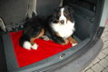 SPACECOVER® rosso