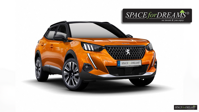 SPACEBED® - car bed foam for Peugeot 2008 SUV
